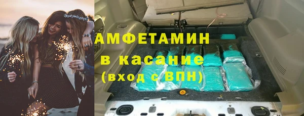 индика Верея