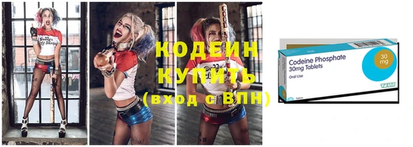 индика Верея