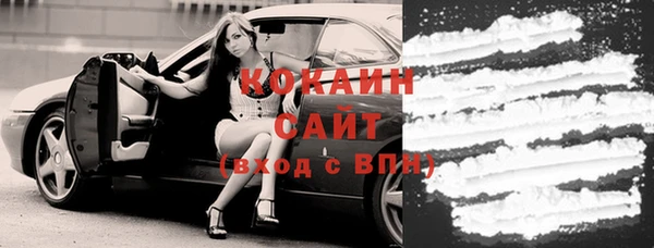 индика Верея