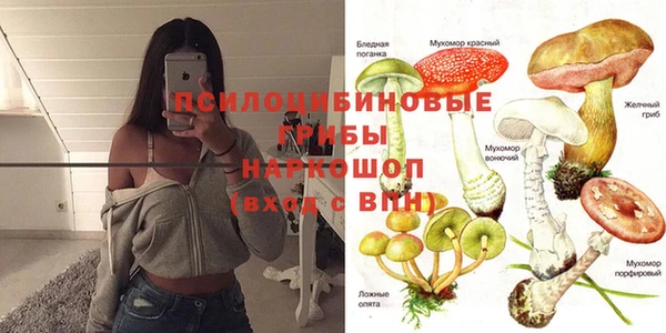 индика Верея