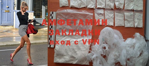 индика Верея