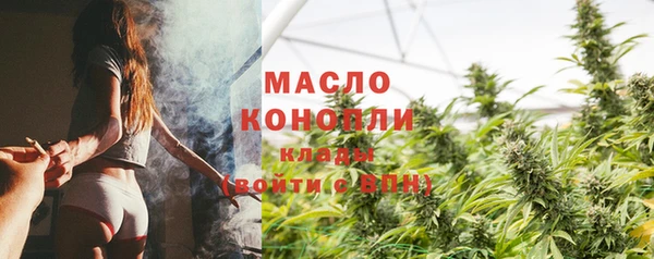 индика Верея