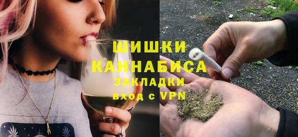 индика Верея
