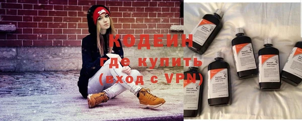 индика Верея