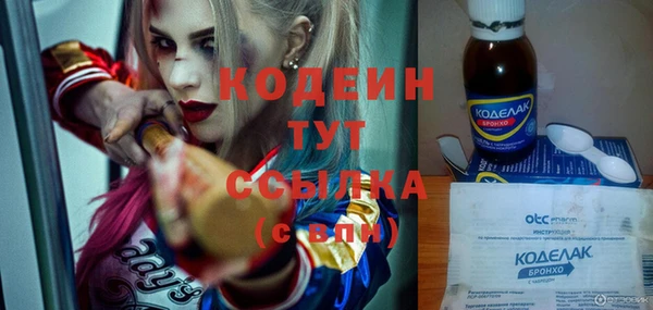 сатива Весьегонск